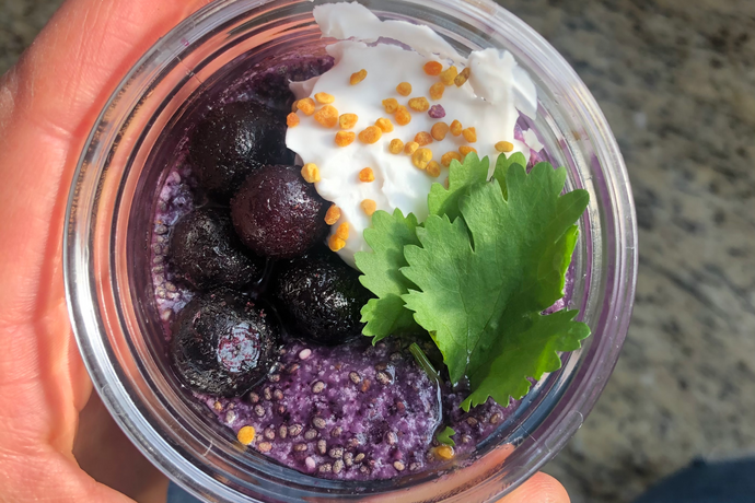 Kate’s Blueberry Chia Pudding
